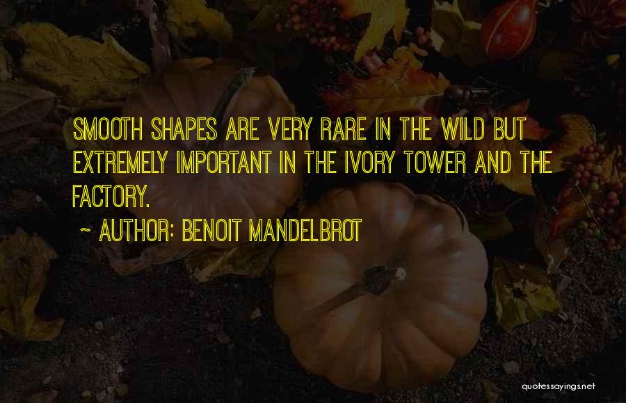 The Ivory Tower Quotes By Benoit Mandelbrot