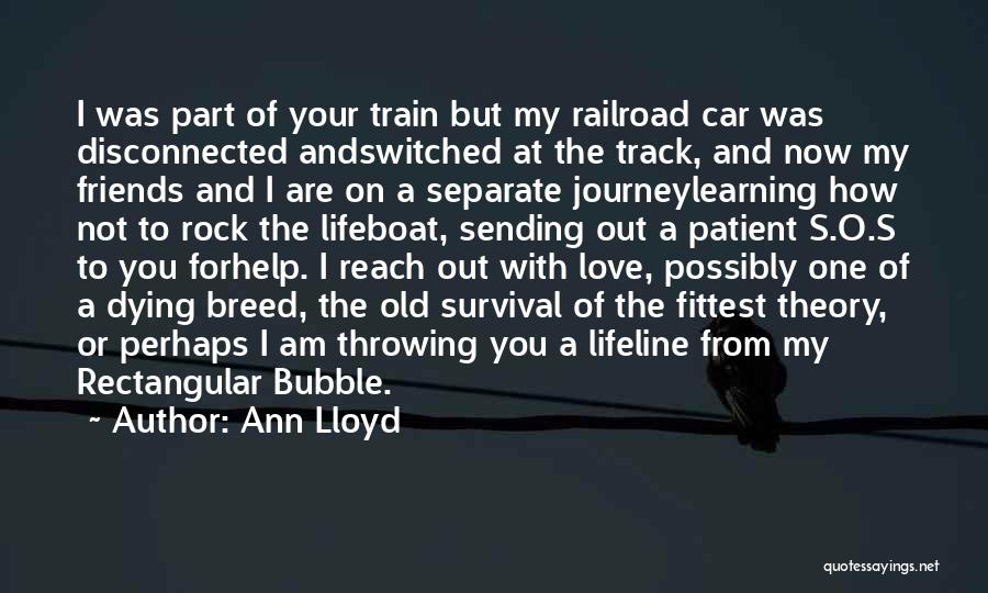 The Journey Of Learning Quotes By Ann Lloyd