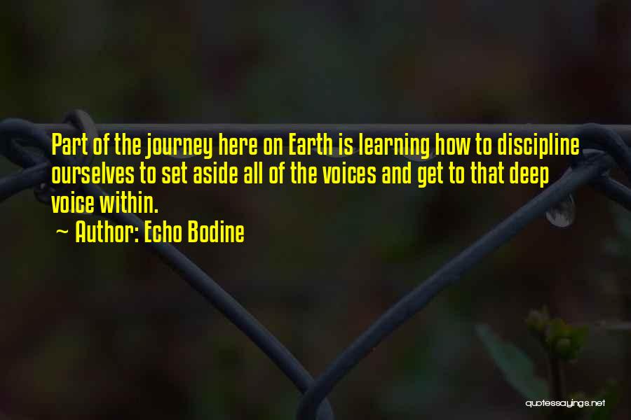 The Journey Of Learning Quotes By Echo Bodine
