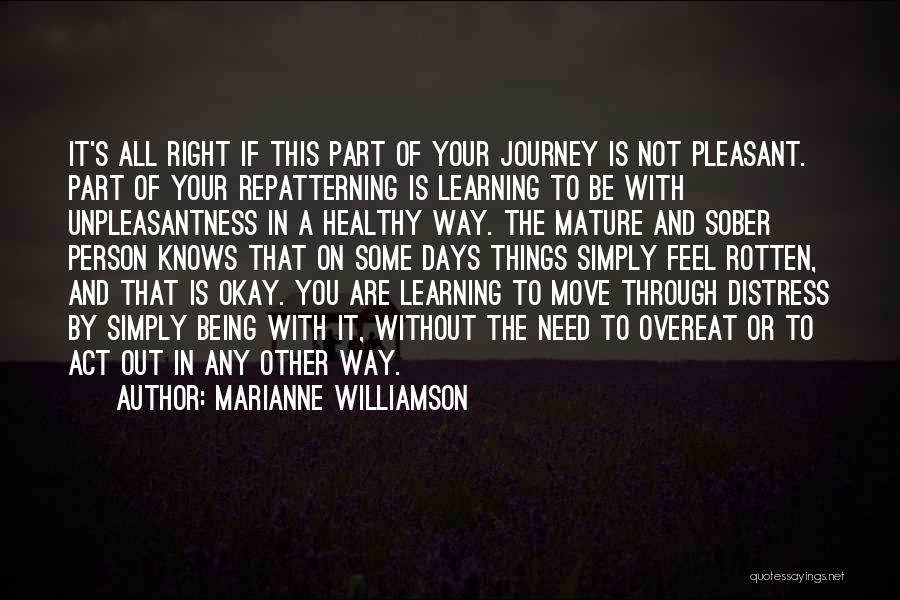 The Journey Of Learning Quotes By Marianne Williamson