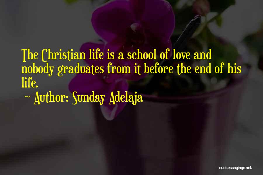 The Journey Of Life And Love Quotes By Sunday Adelaja