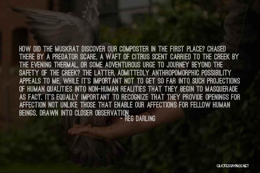 The Journey So Far Quotes By Reg Darling The Journey So Far Quotes By Reg Darling