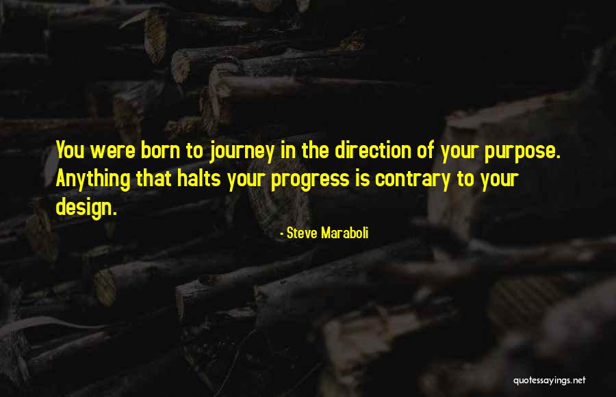 The Journey To Happiness Quotes By Steve Maraboli