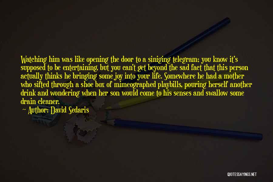 The Joy Of Having A Son Quotes By David Sedaris
