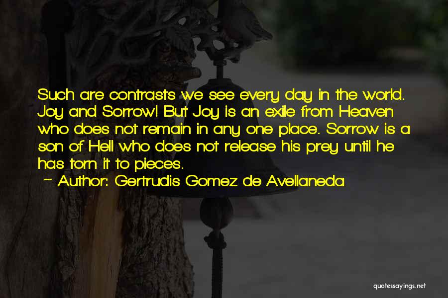 The Joy Of Having A Son Quotes By Gertrudis Gomez De Avellaneda