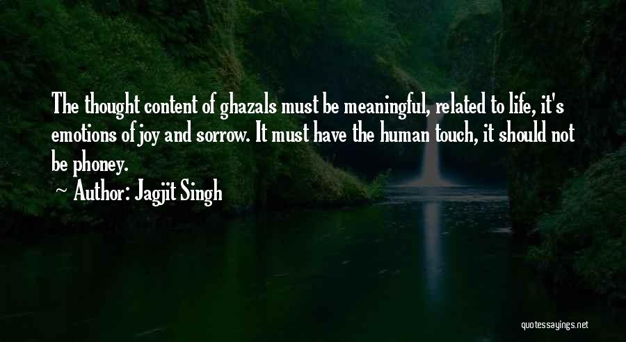The Joy Of Life Quotes By Jagjit Singh