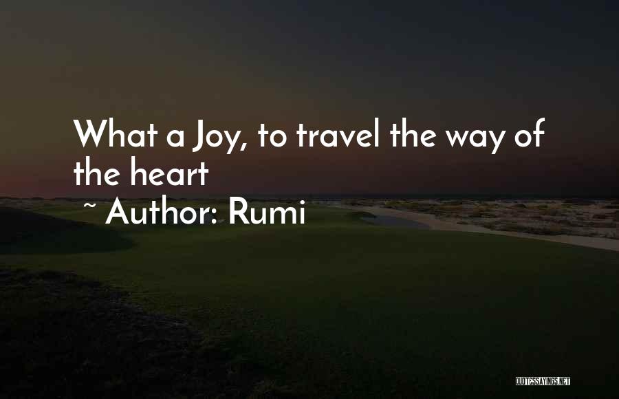 The Joy Of Travel Quotes By Rumi