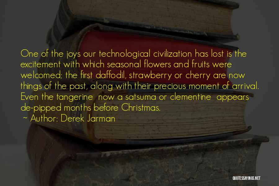 The Joys Of Christmas Quotes By Derek Jarman