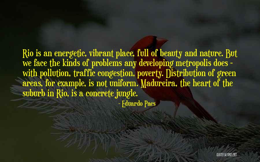 The Jungle Quotes By Eduardo Paes The Jungle Quotes By Eduardo Paes