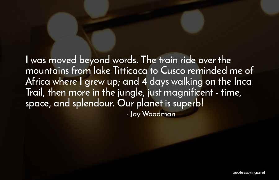 The Jungle Quotes By Jay Woodman The Jungle Quotes By Jay Woodman