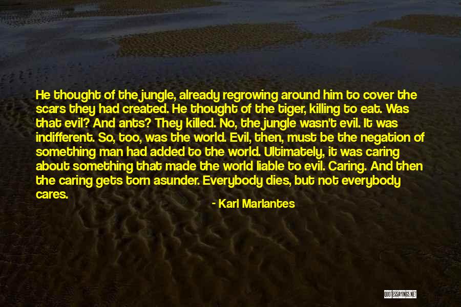 The Jungle Quotes By Karl Marlantes The Jungle Quotes By Karl Marlantes