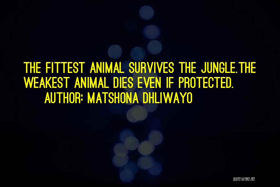 The Jungle Quotes By Matshona Dhliwayo