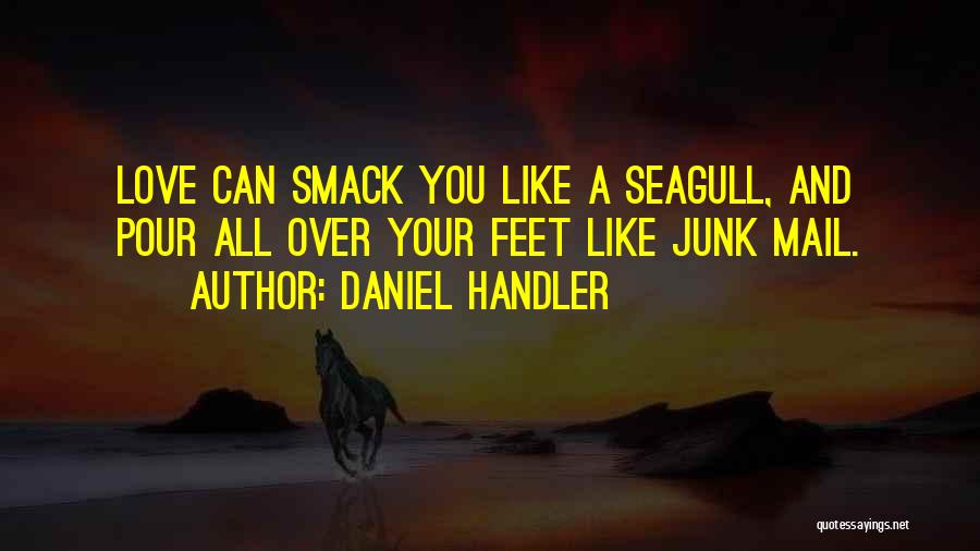 The Junk Mail Quotes By Daniel Handler