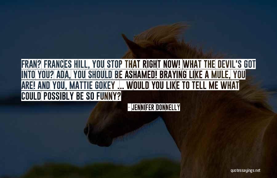 The Justice League Recombination Quotes By Jennifer Donnelly The Justice League Recombination Quotes By Jennifer Donnelly