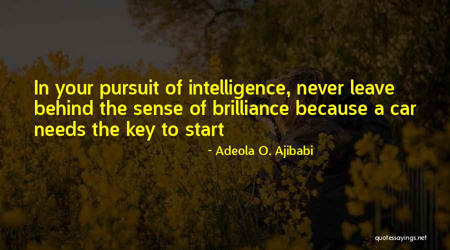 The Key To Success Quotes By Adeola O. Ajibabi