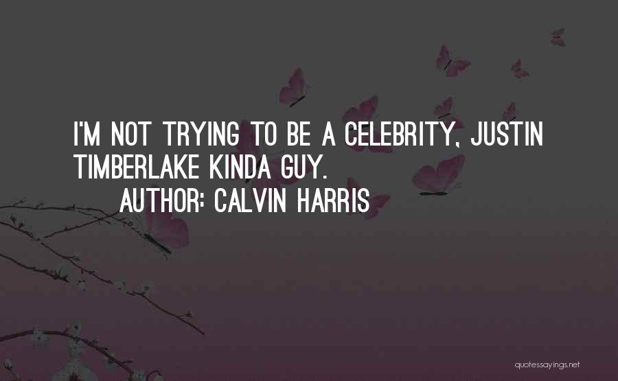 The Kinda Guy I Want Quotes By Calvin Harris