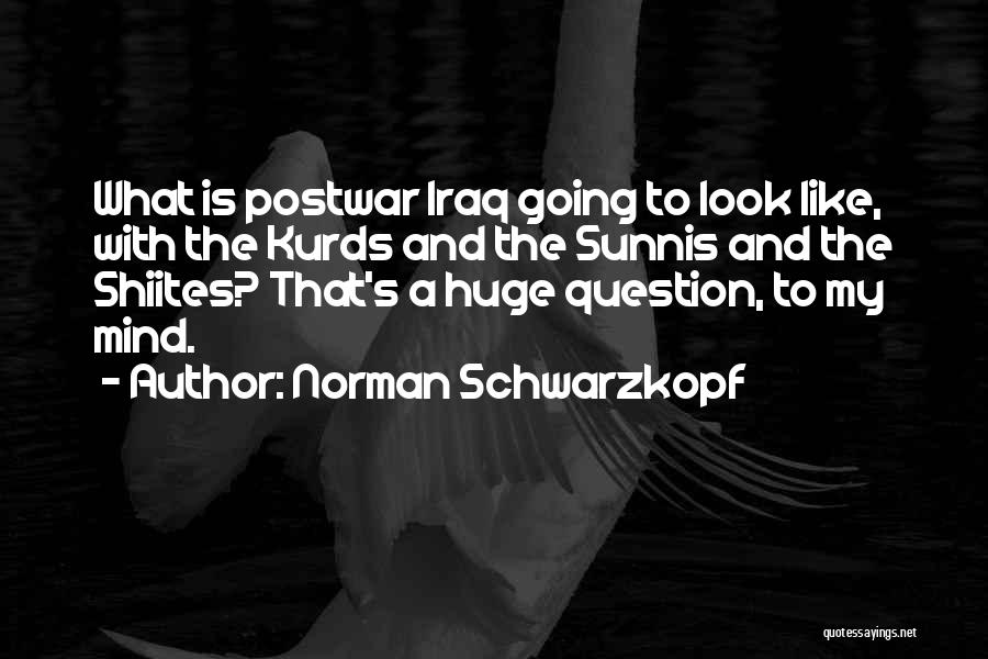The Kurds Quotes By Norman Schwarzkopf