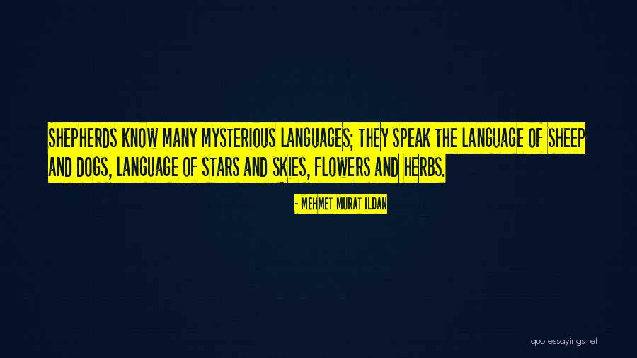 The Language Of Flowers Quotes By Mehmet Murat Ildan The Language Of Flowers Quotes By Mehmet Murat Ildan