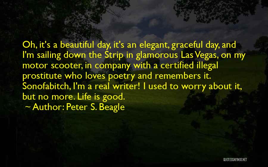 The Las Vegas Strip Quotes By Peter S. Beagle