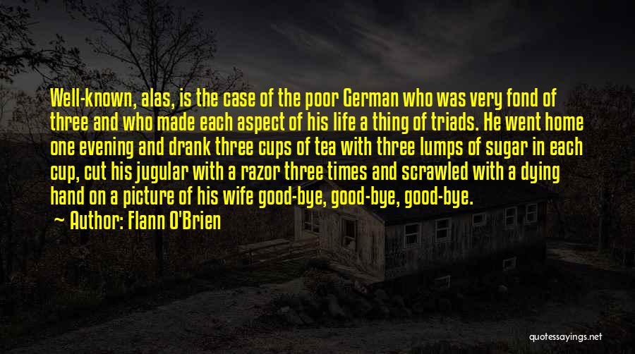 The Last Bye Quotes By Flann O'Brien