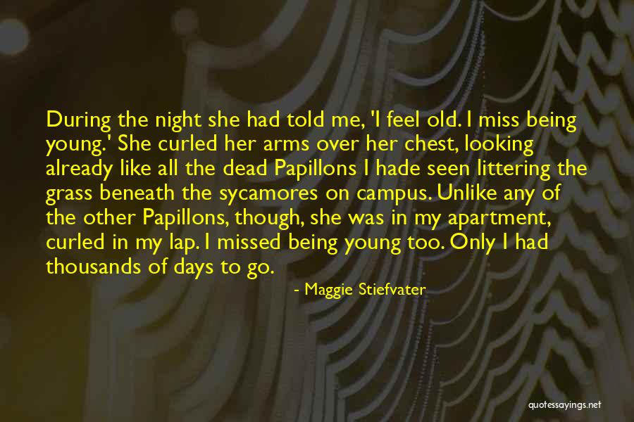 The Last Day Of Spring Quotes By Maggie Stiefvater The Last Day Of Spring Quotes By Maggie Stiefvater