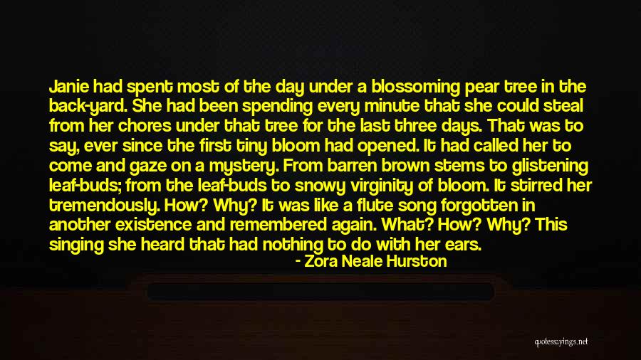 The Last Days Quotes By Zora Neale Hurston The Last Days Quotes By Zora Neale Hurston