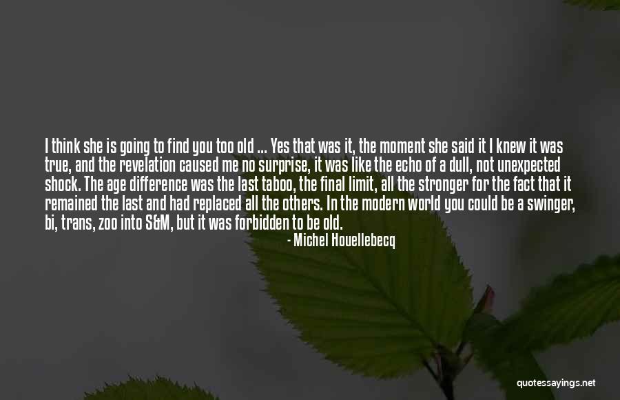 The Last Echo Quotes By Michel Houellebecq The Last Echo Quotes By Michel Houellebecq