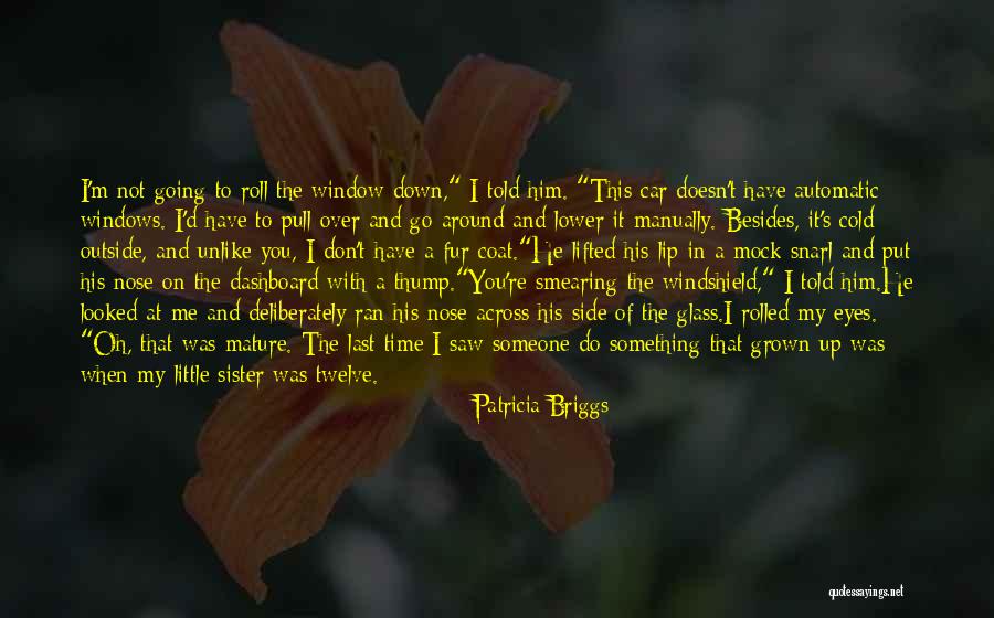 The Last Time I Saw You Quotes By Patricia Briggs The Last Time I Saw You Quotes By Patricia Briggs