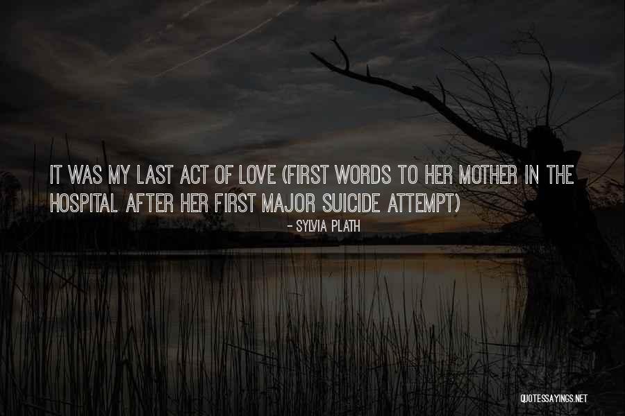 The Last Words Quotes By Sylvia Plath