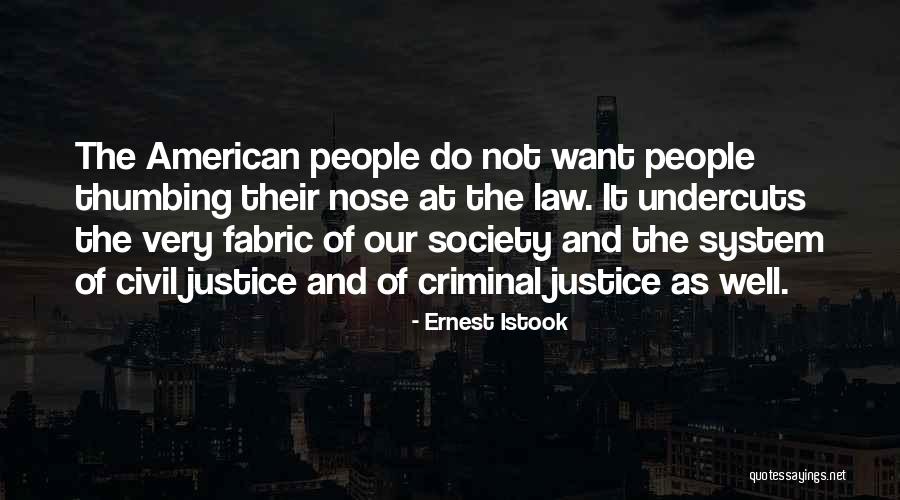 The Law And Justice Quotes By Ernest Istook