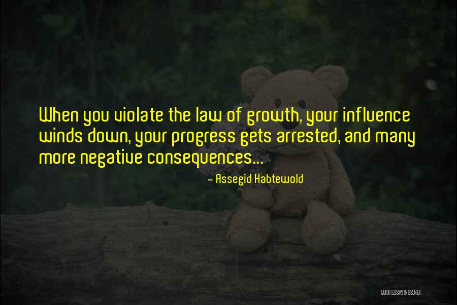 The Law Of Growth Quotes By Assegid Habtewold The Law Of Growth Quotes By Assegid Habtewold