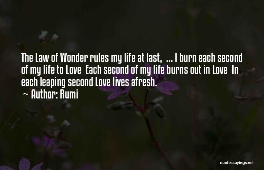 The Law Of Love Quotes By Rumi