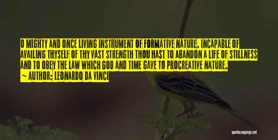 The Law Of Nature Quotes By Leonardo Da Vinci