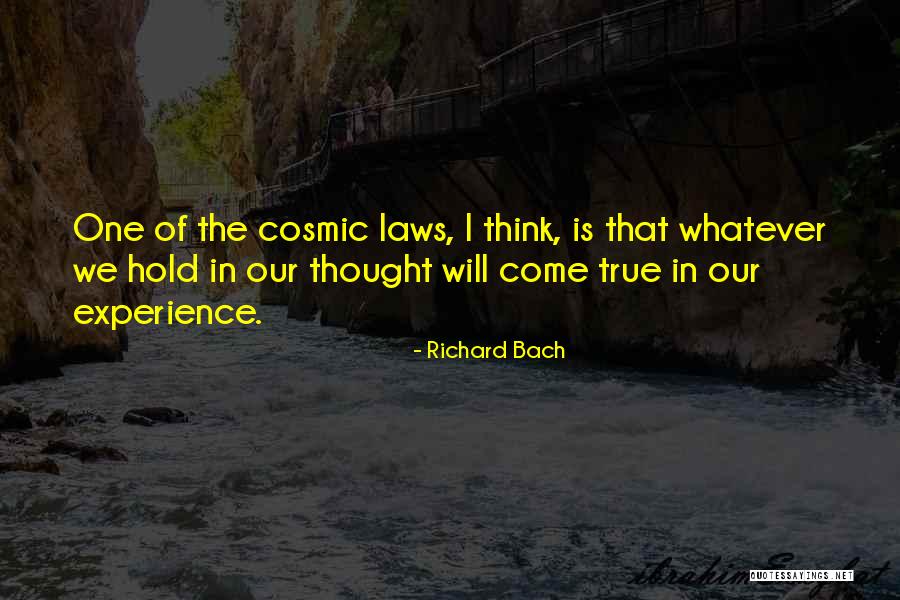 The Laws Of Attraction Quotes By Richard Bach