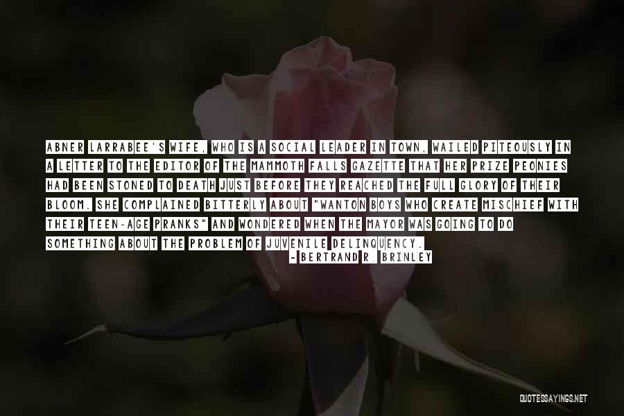 The Letter R Quotes By Bertrand R. Brinley The Letter R Quotes By Bertrand R. Brinley