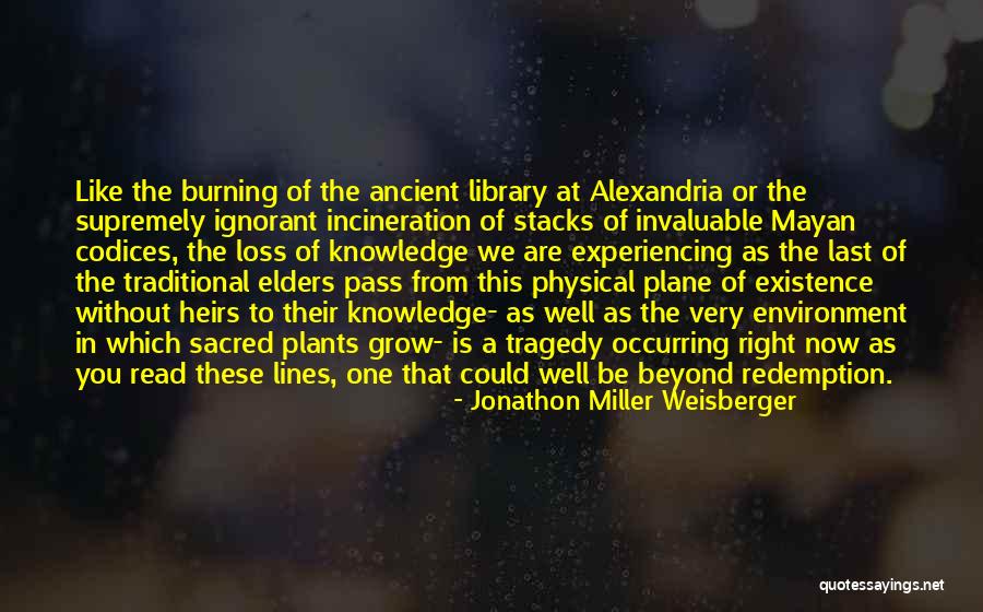 The Library Of Alexandria Quotes By Jonathon Miller Weisberger