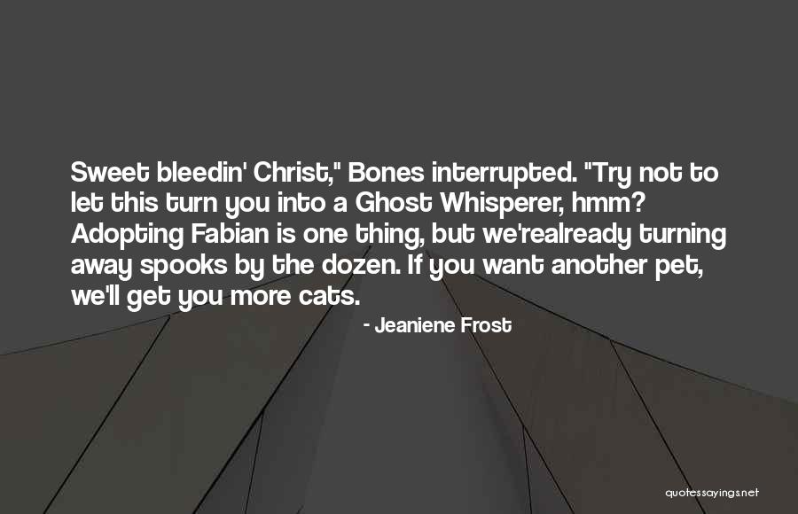 The Library Window Quotes By Jeaniene Frost The Library Window Quotes By Jeaniene Frost