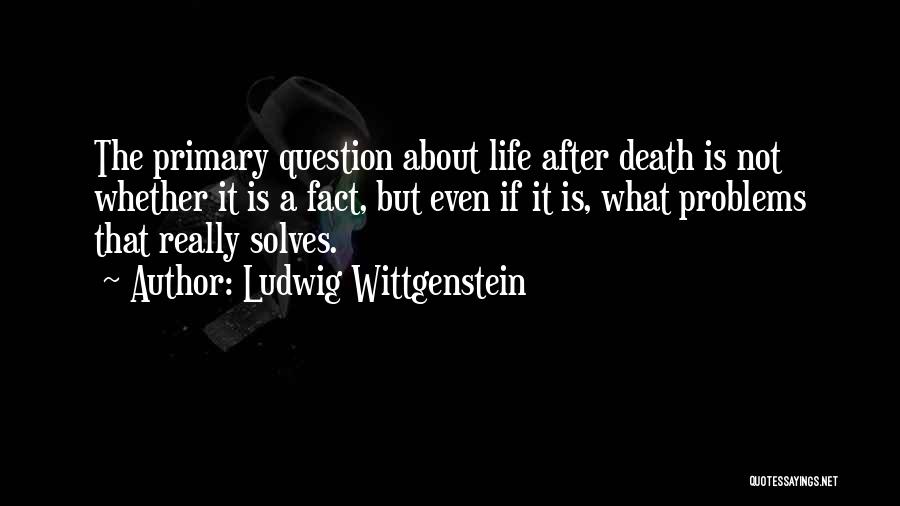 The Life After Quotes By Ludwig Wittgenstein