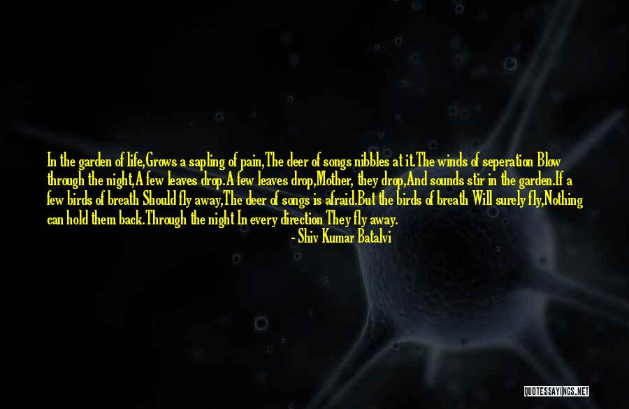 The Life Of Kumar Quotes By Shiv Kumar Batalvi The Life Of Kumar Quotes By Shiv Kumar Batalvi