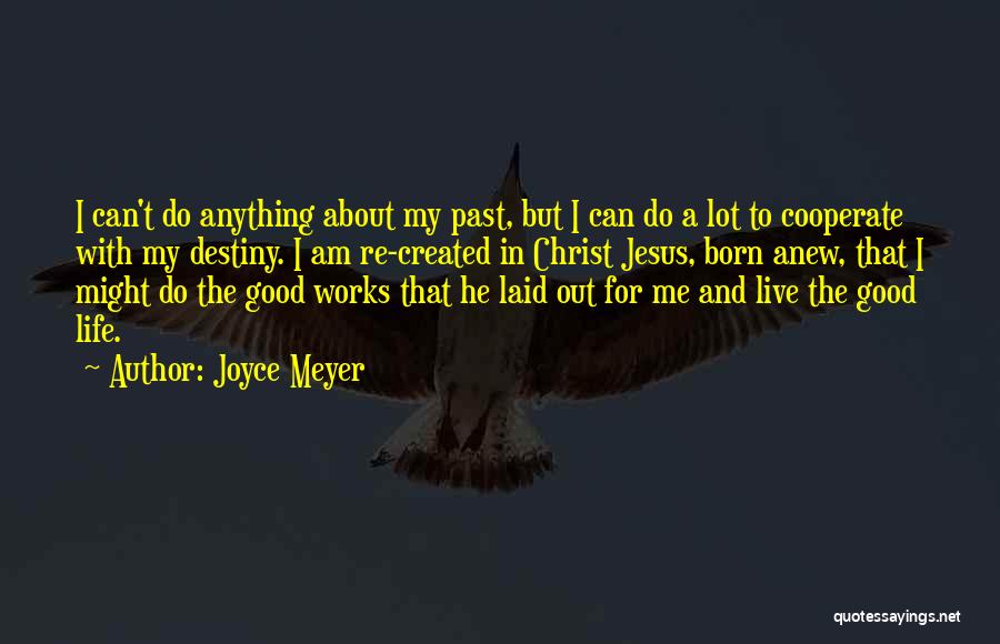 The Life You Were Born To Live Quotes By Joyce Meyer
