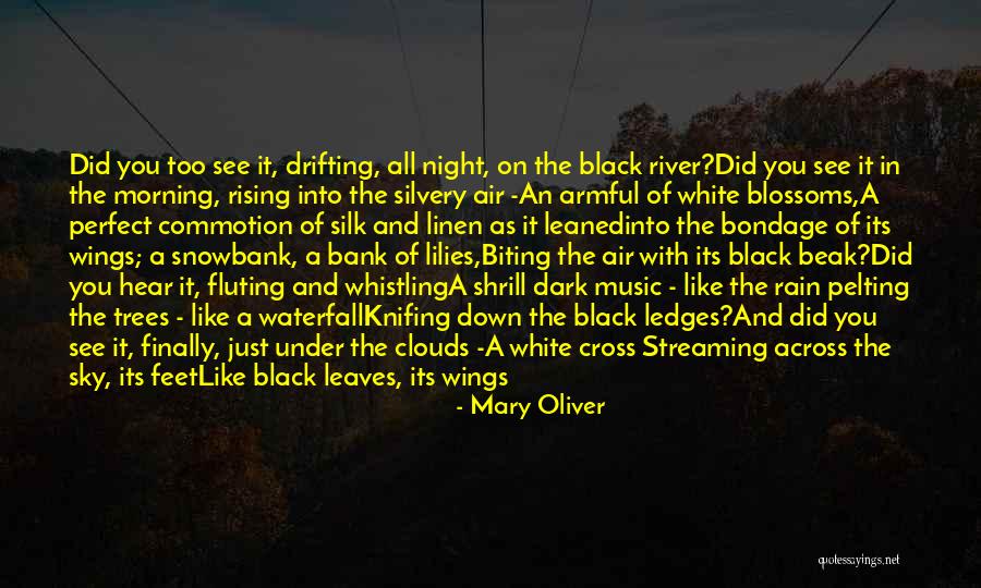 The Light And Dark Quotes By Mary Oliver The Light And Dark Quotes By Mary Oliver