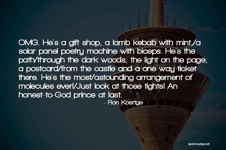 The Light And Dark Quotes By Ron Koertge The Light And Dark Quotes By Ron Koertge