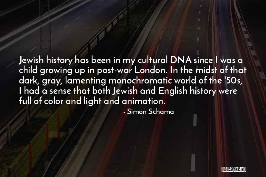 The Light And Dark Quotes By Simon Schama The Light And Dark Quotes By Simon Schama