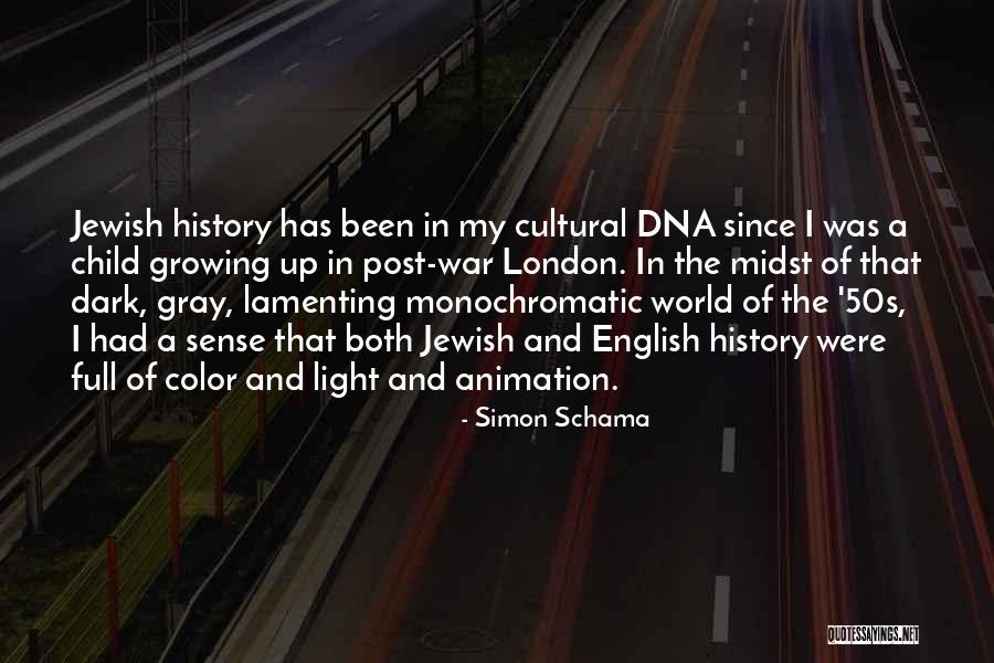 The Light And Dark Quotes By Simon Schama