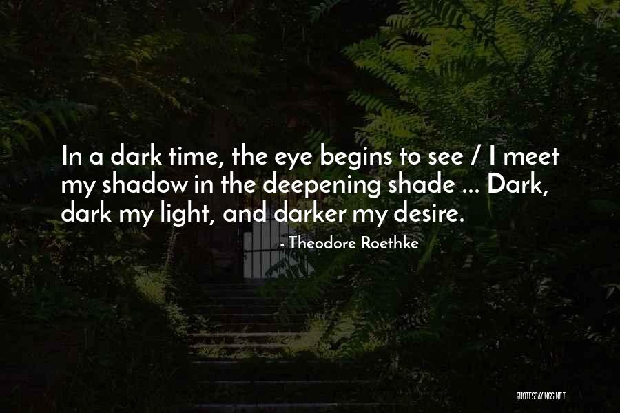 The Light And Dark Quotes By Theodore Roethke