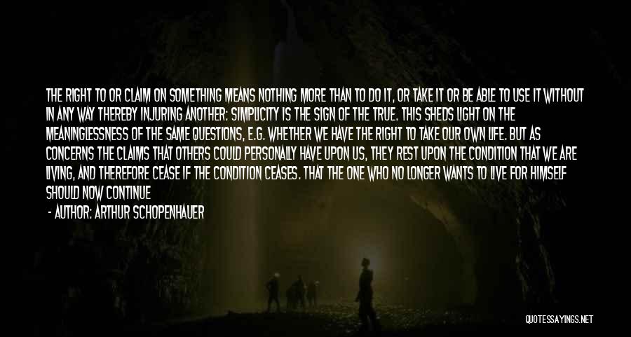 The Light In Us Quotes By Arthur Schopenhauer