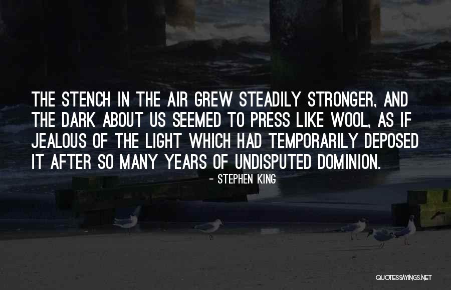 The Light In Us Quotes By Stephen King