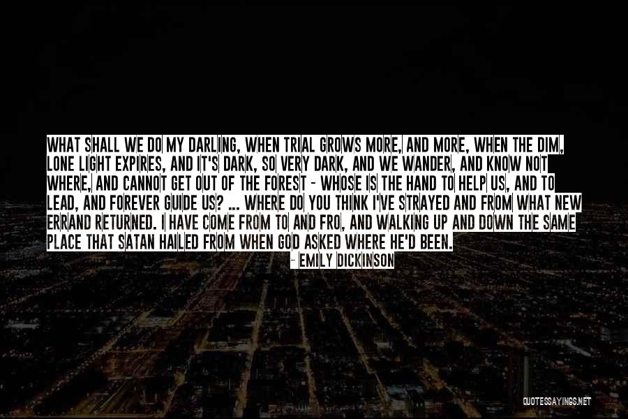 The Light Of God Quotes By Emily Dickinson The Light Of God Quotes By Emily Dickinson