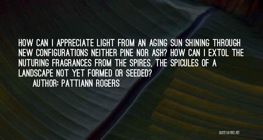 The Light Shining Through Quotes By Pattiann Rogers