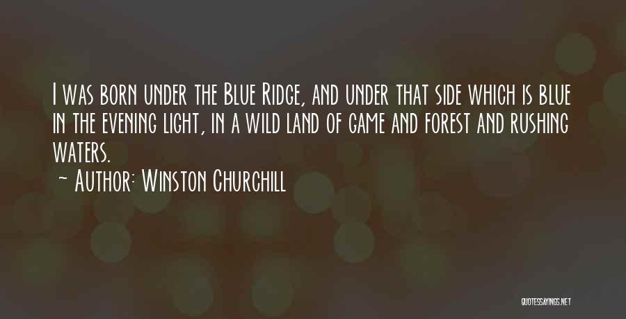 The Light Side Quotes By Winston Churchill